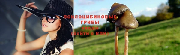 меф Алзамай