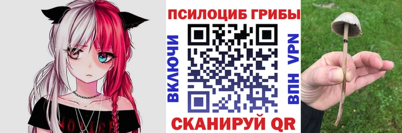 цена наркотик  Новомичуринск  Псилоцибиновые грибы мицелий 